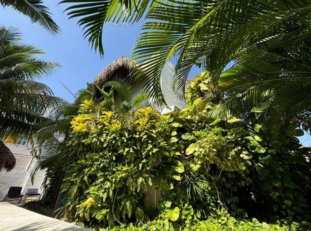 Apartmán Casa Nona Rosa Cancún Exteriér fotografie